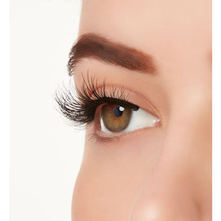 Ardell Active Lash - Physical - Lashes