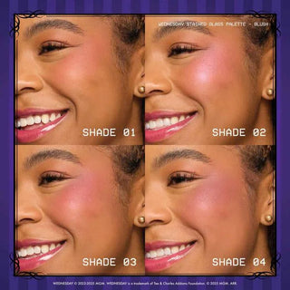 Nyx Wednesday Stained Glass Blush Palette - Palette