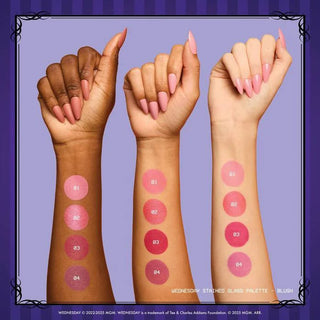 Nyx Wednesday Stained Glass Blush Palette - Palette