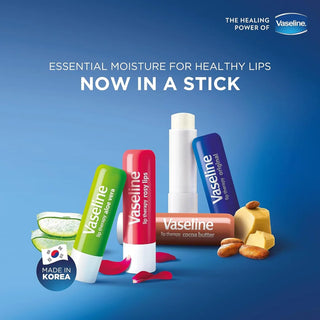 Vaseline Lip Therapy Aloe Vera Stick 2 Pack - Lip Balm